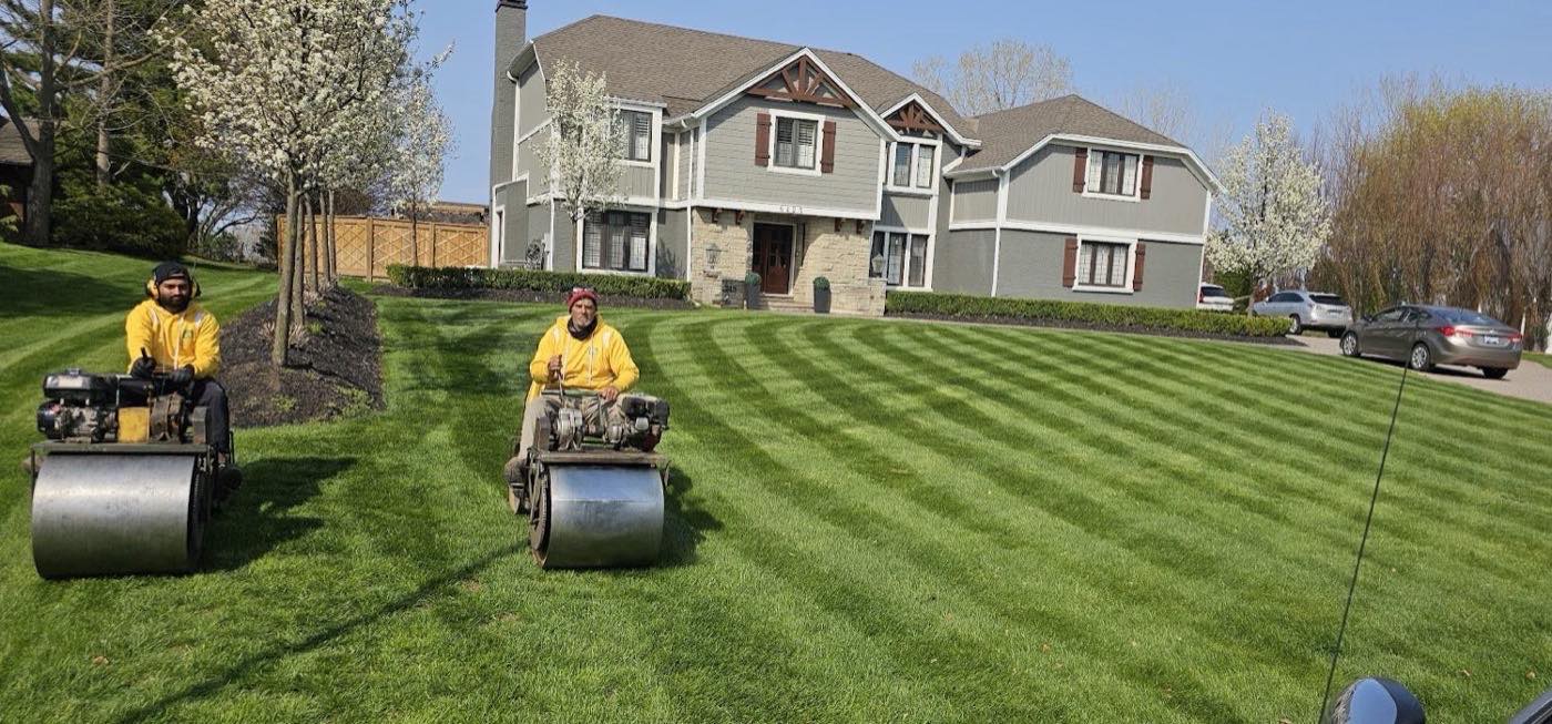 Dave and his crew rolling a large striped lawn in front of a Niagara home